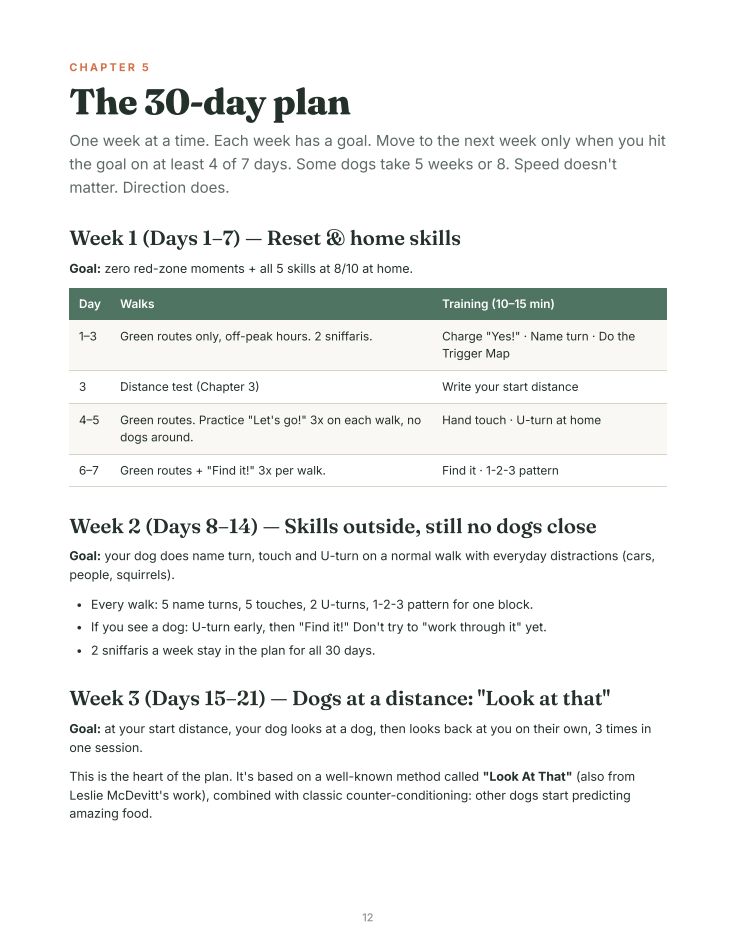 Inside page: the 30-day plan